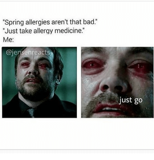 Spring Allergies Aren