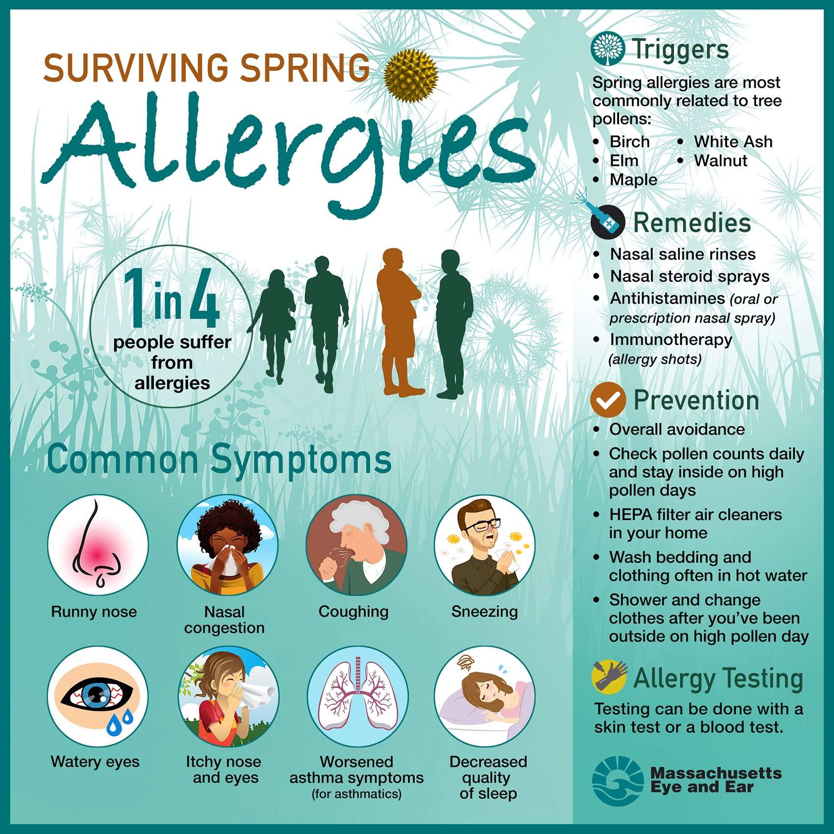 Spring Allergies Survival Guide