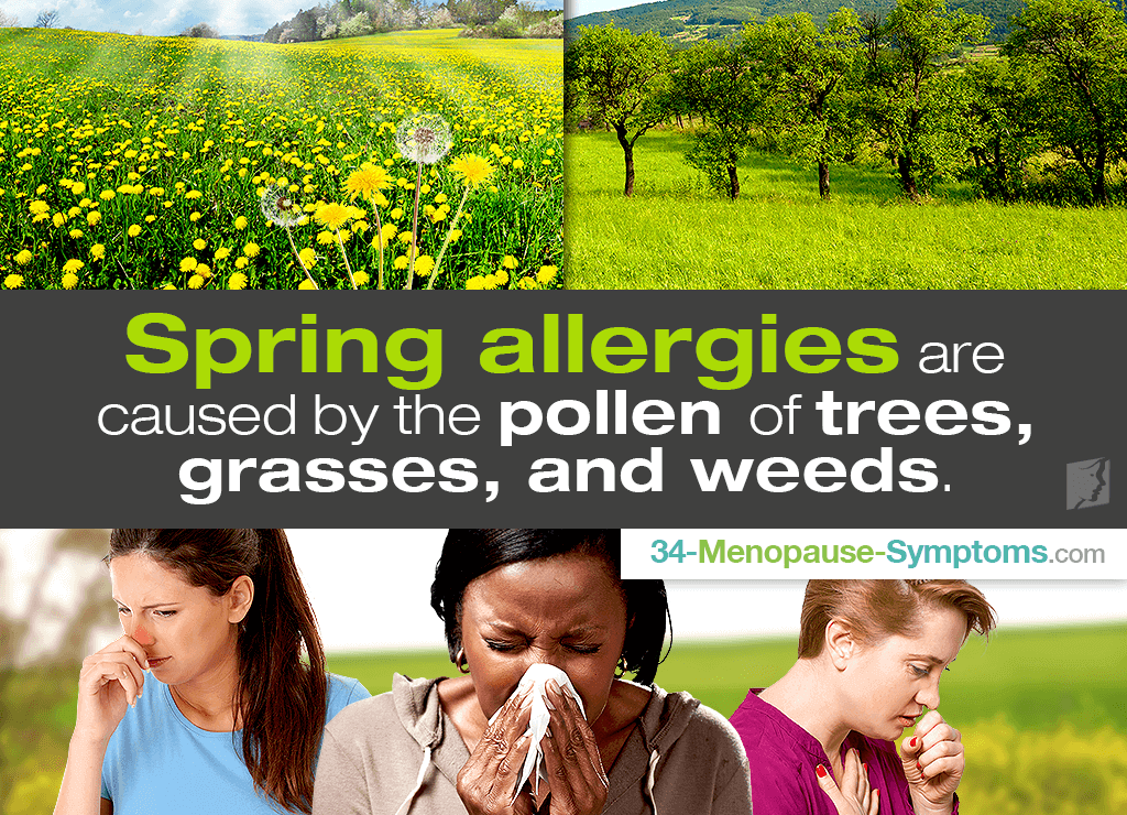 Spring Allergies: Symptoms and Causes
