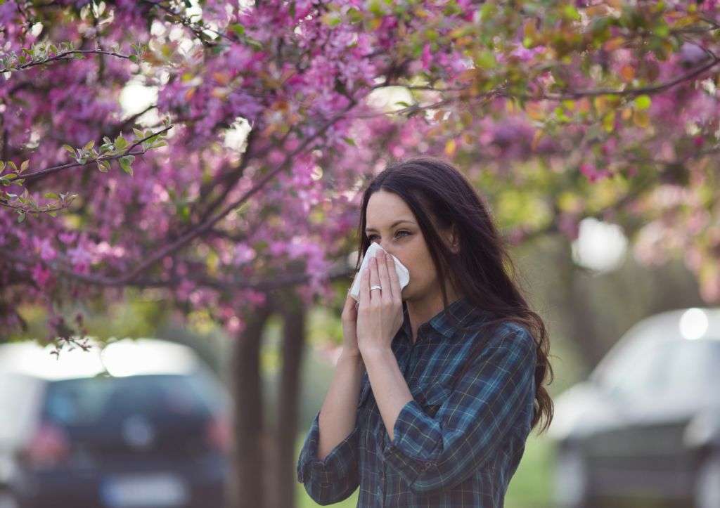 Spring Allergy Season Has Arrived: How to Survive It ...
