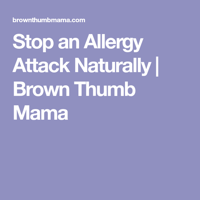 Stop an Allergy Attack Naturally  Brown Thumb Mama®