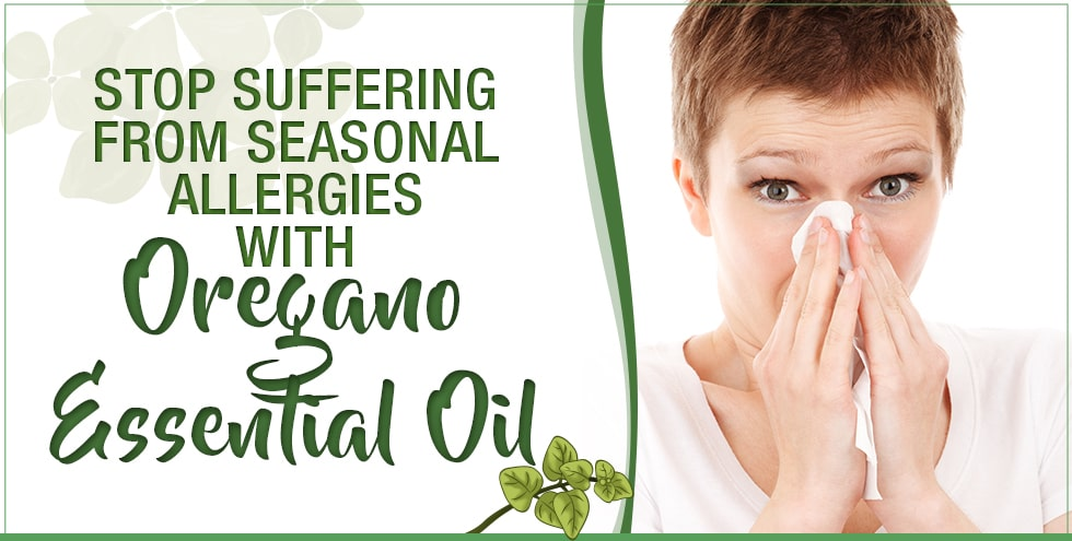 Stop Suffering From Seasonal Allergies With Oregano ...