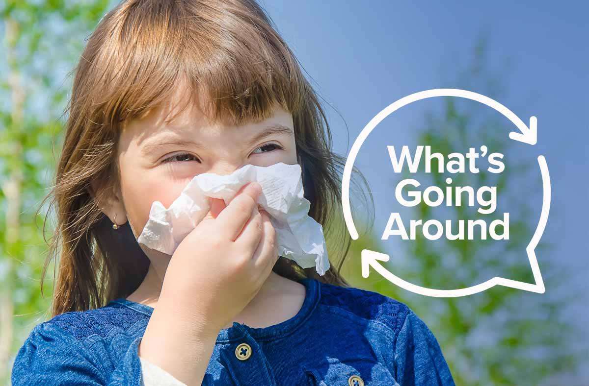 Summer Cold or Seasonal Allergies?