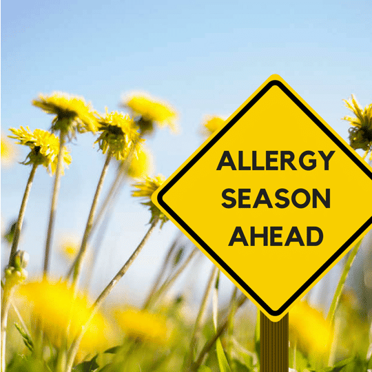 Summertime Sniffles? How Manage Allergies During The Summer