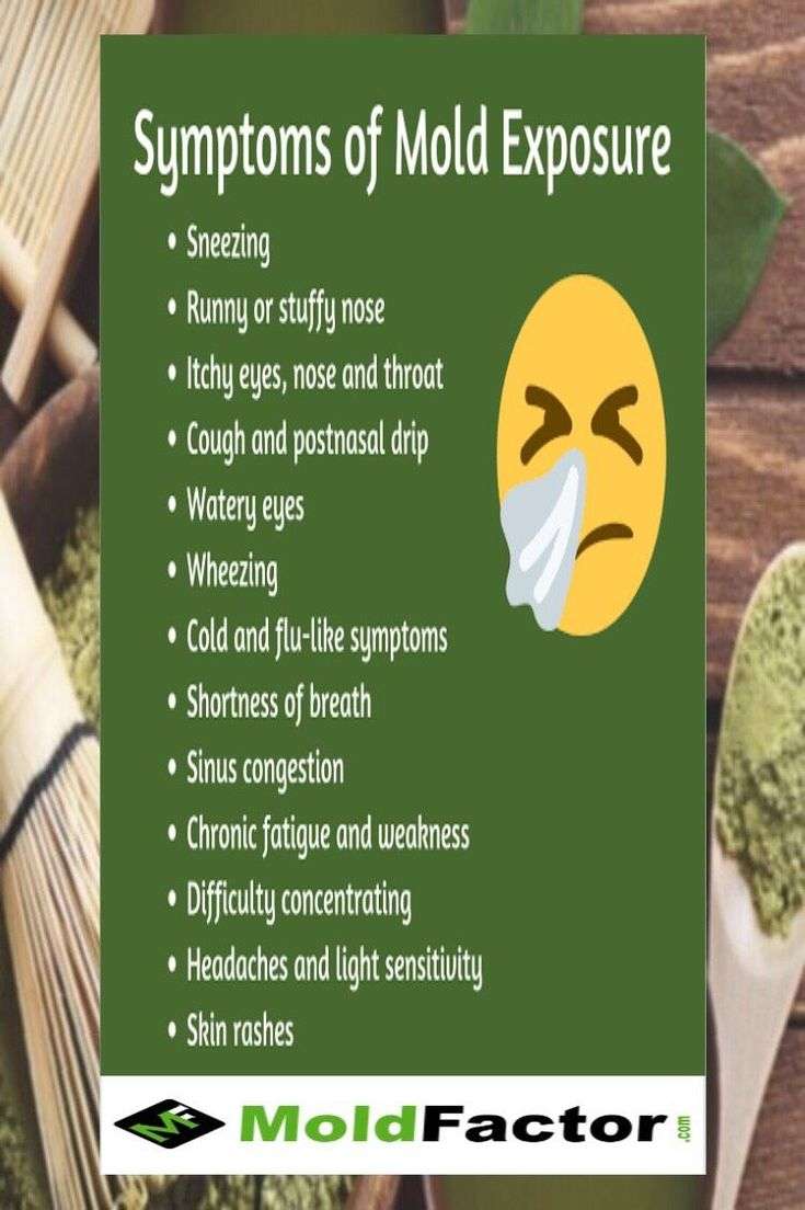 Symptoms of Mold exposure. #moldfactor #health # ...