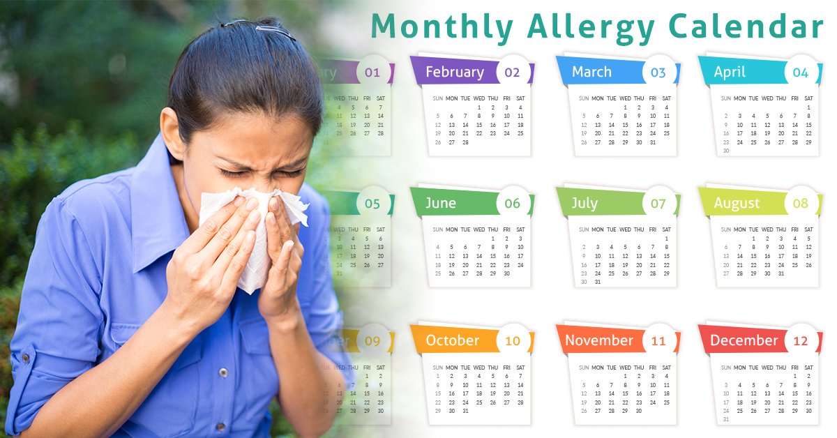 The complete guidebook on monthly allergies