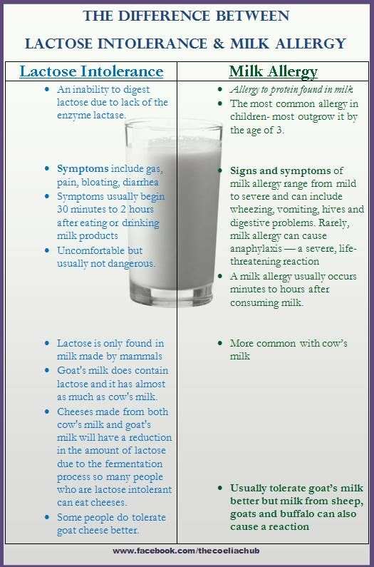 The difference between a milk allergy and lactose ...