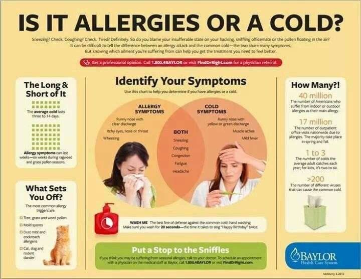 The difference between Allergies & Colds