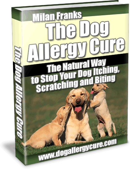 The Dog Allergy Cure