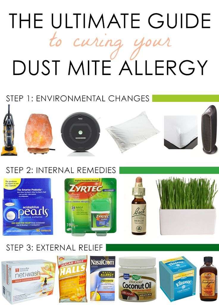The Ultimate Guide to Curing Your Dust Mite Allergy ...