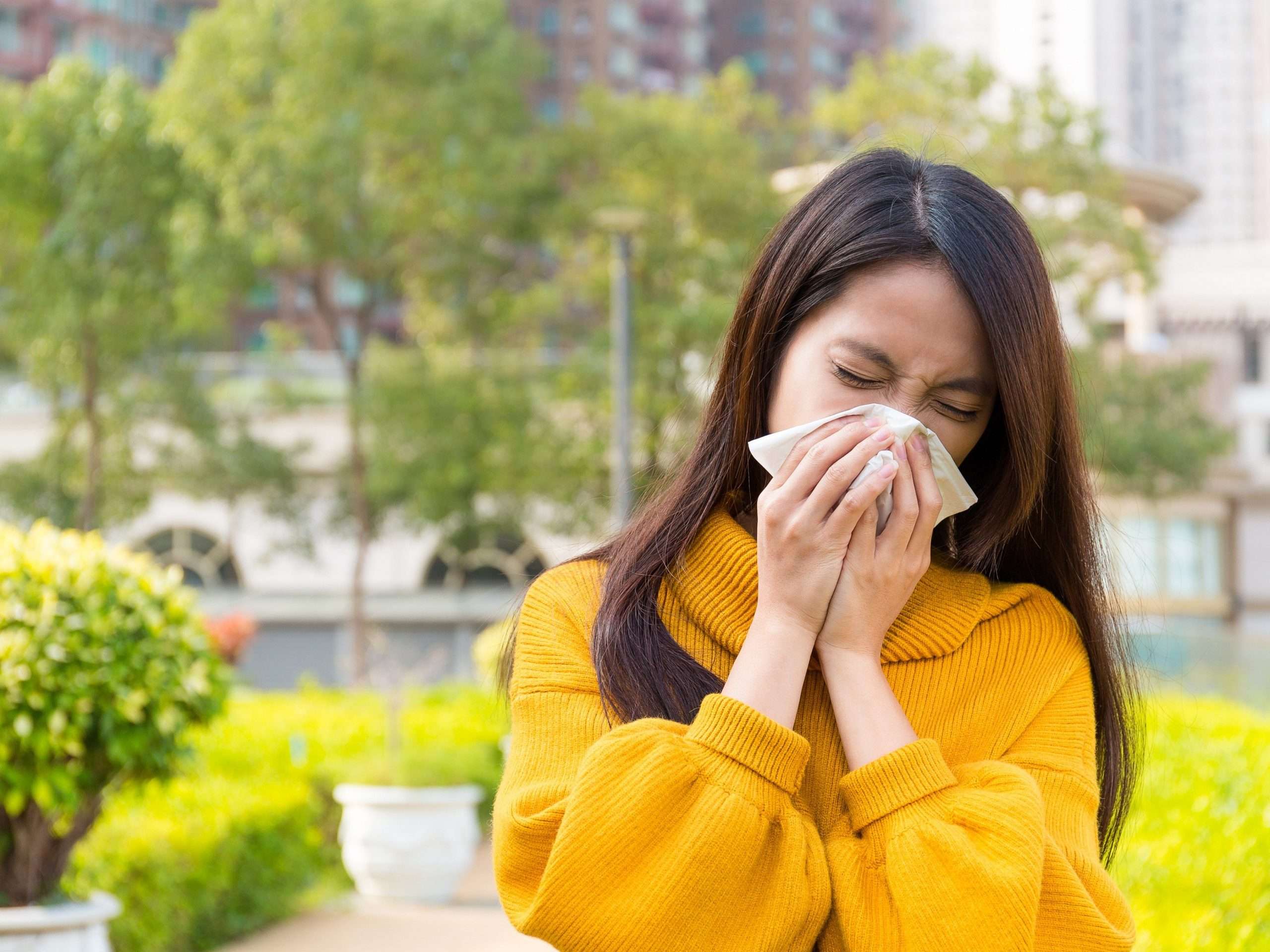 The Ultimate Guide to Surviving Allergy Season