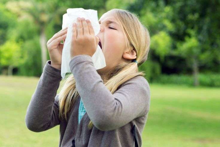 Tips on dealing with seasonal allergies