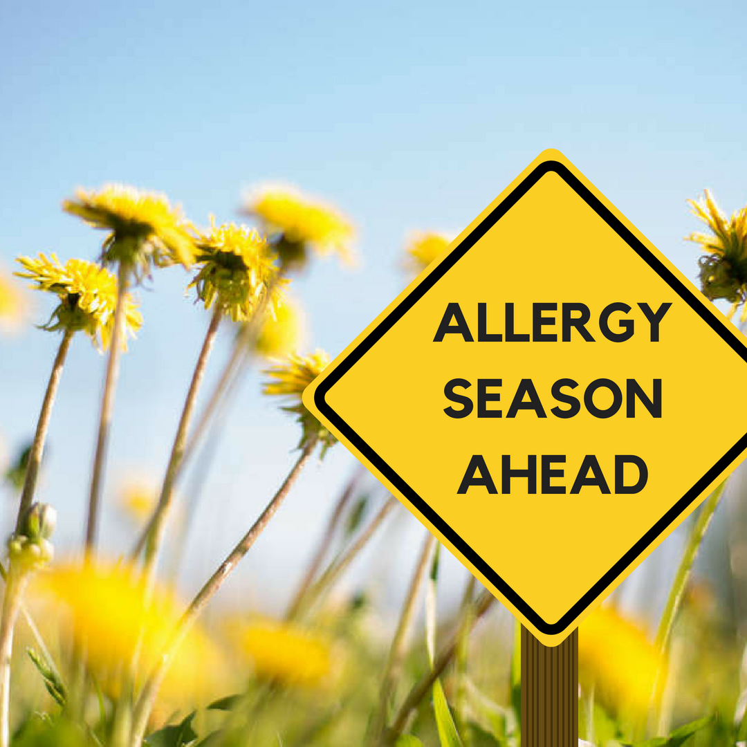 Tips to Prevent Spring Allergies