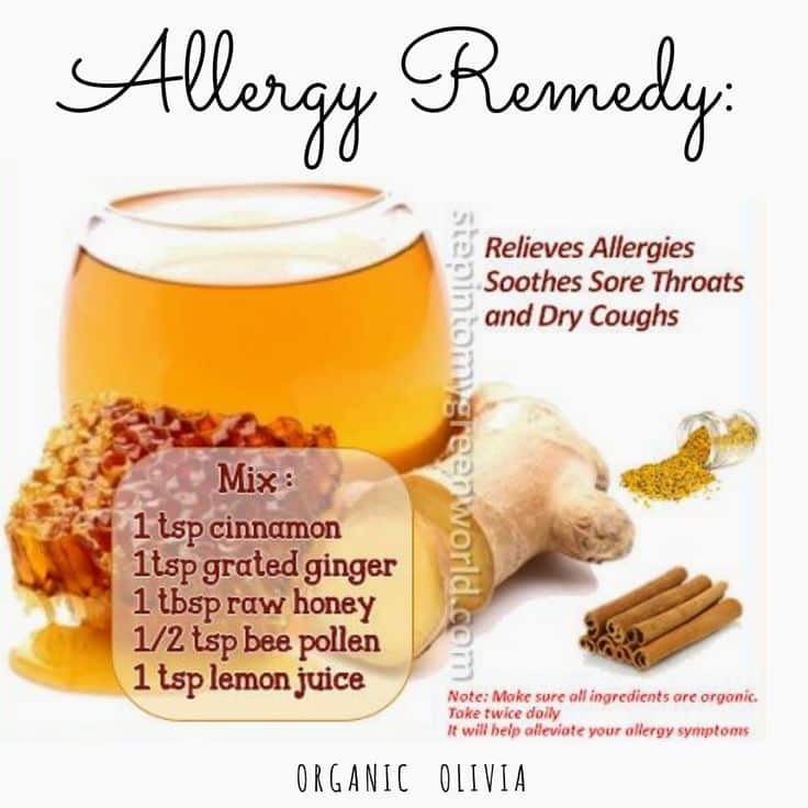 Top 10 Natural Allergy Remedies