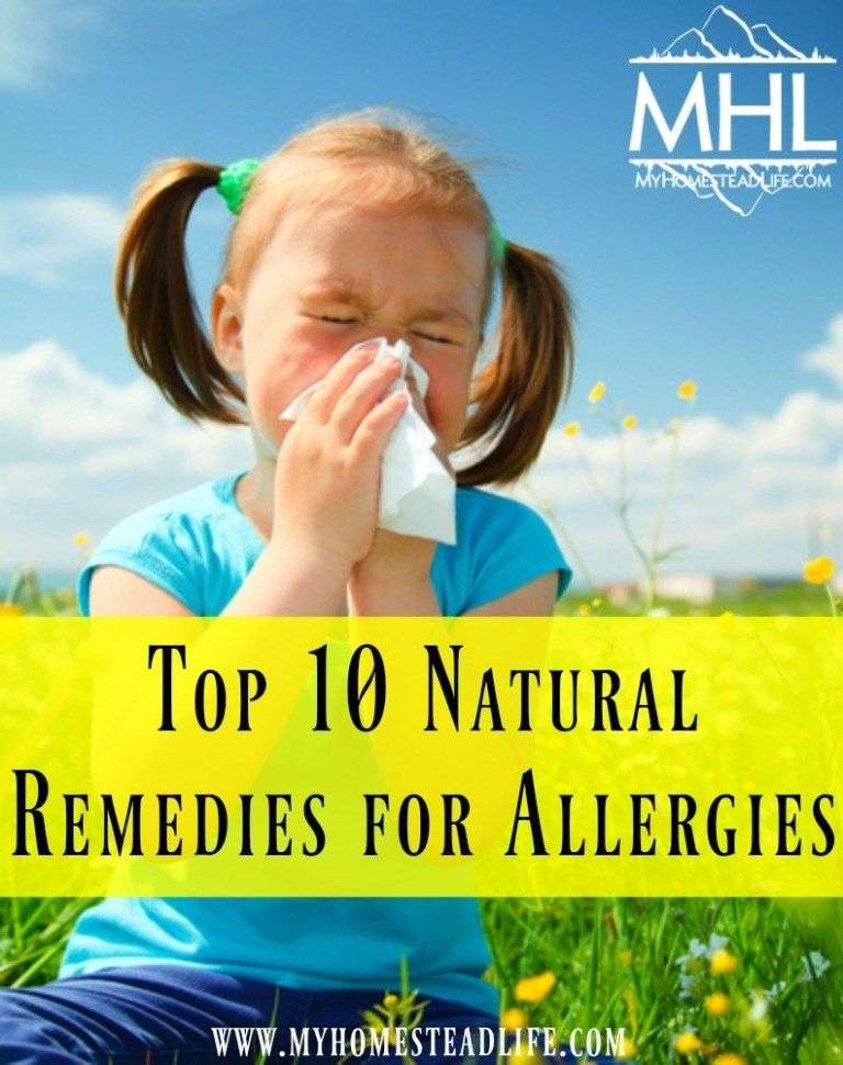 Top 10 Natural Remedies for Allergies