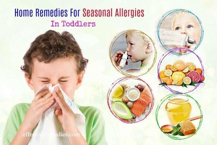 Top 28 Home Remedies For Seasonal Allergies In Toddlers ...