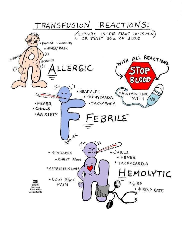 Transfusion Reactions #nursing #nclex