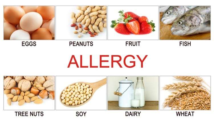 Understanding Food Allergies During Allergy Awareness Week ...