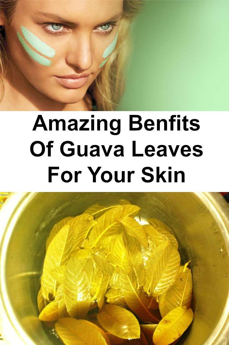 Use Guava Leaves To Beat Wrinkles, Acne, Dark Spots And Skin Allergies ...