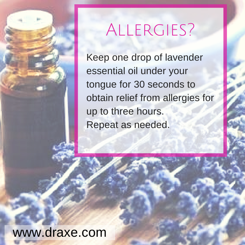 Using lavender to help relieve allergies!! #naturalremedies