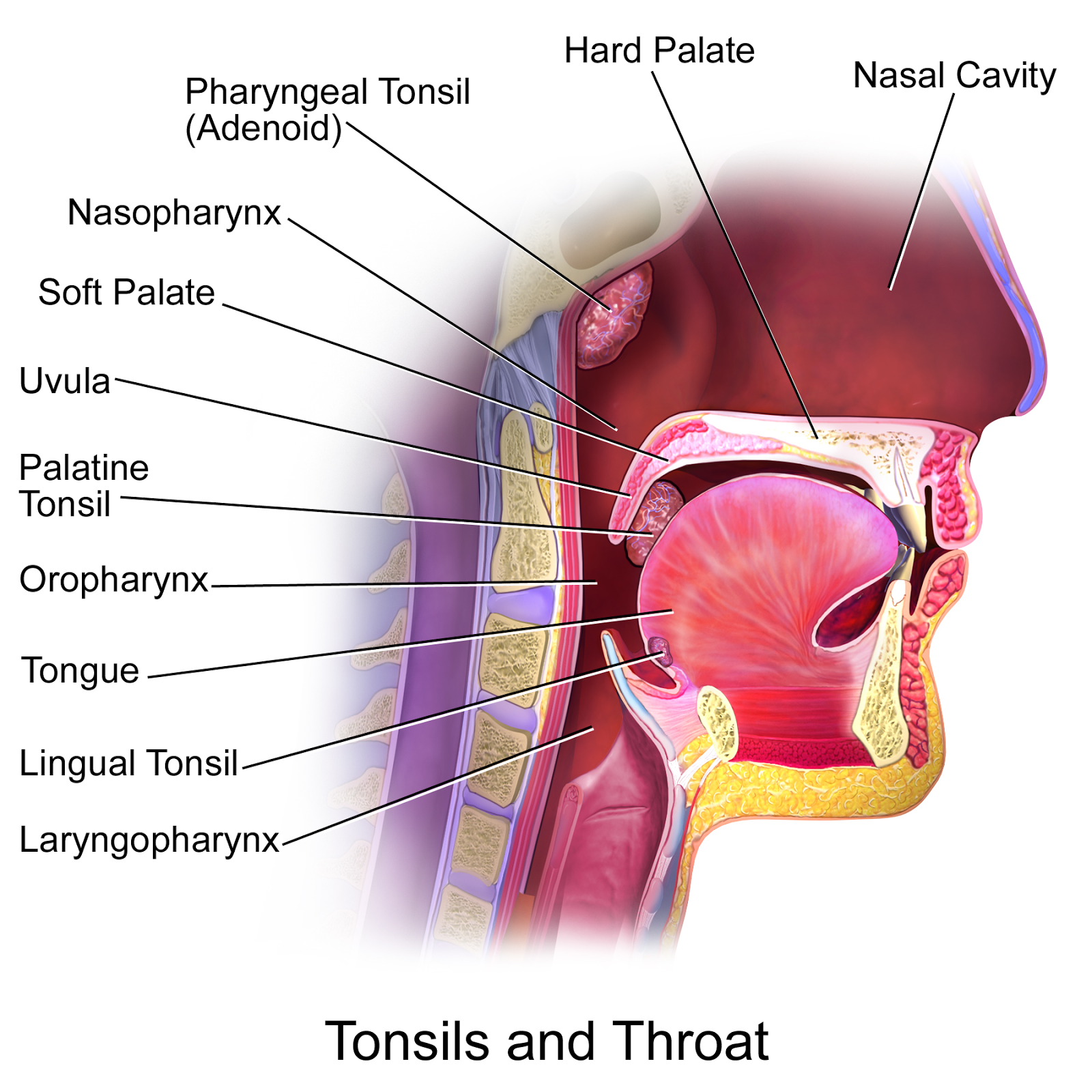 Want to Cure Itchy Throat The Easy Way? Read This