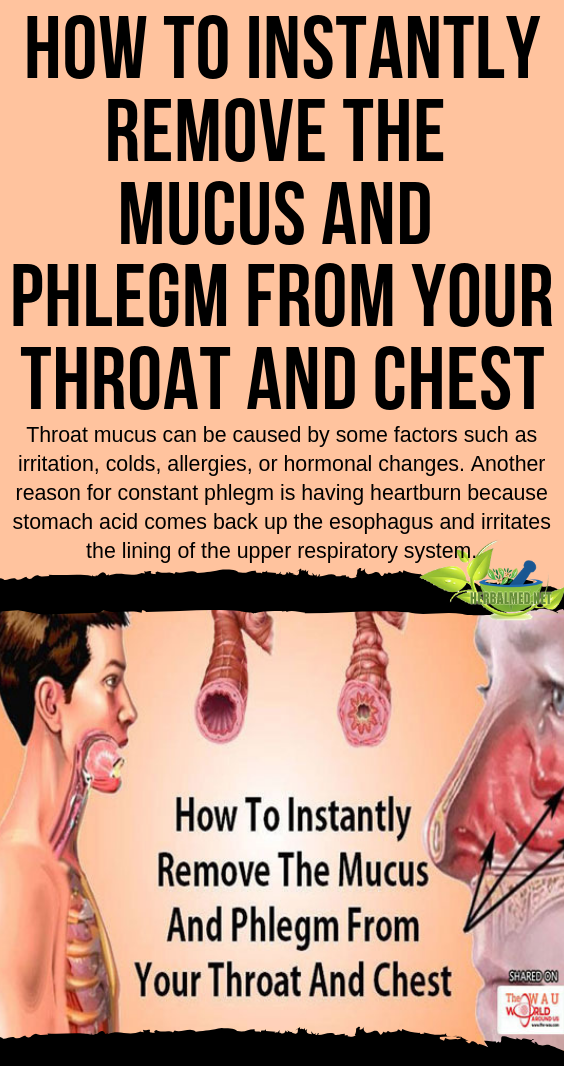 What Allergies Cause Excessive Phlegm