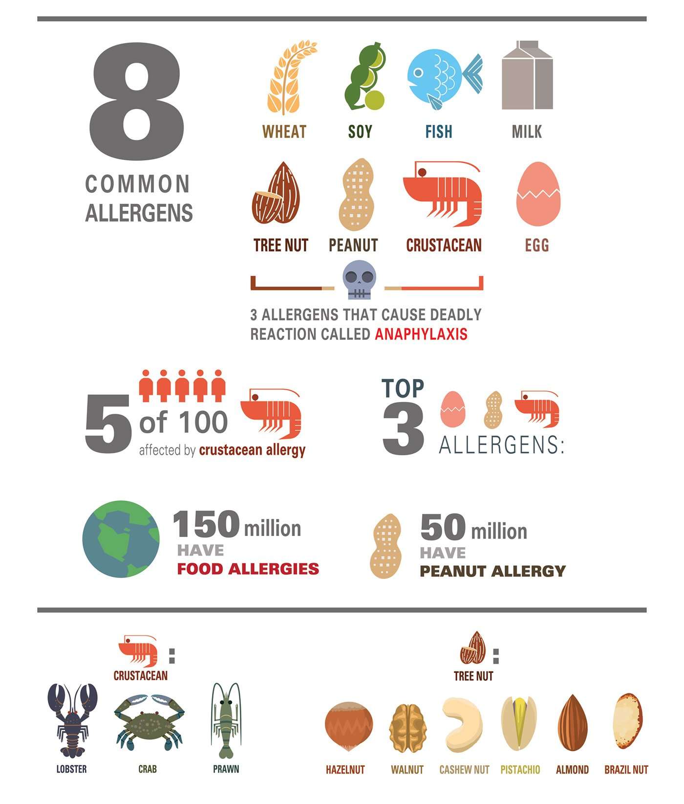 What are the 5 Most Common Allergies?