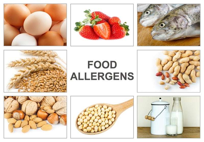 What are the 8 Most Common Food Allergies?