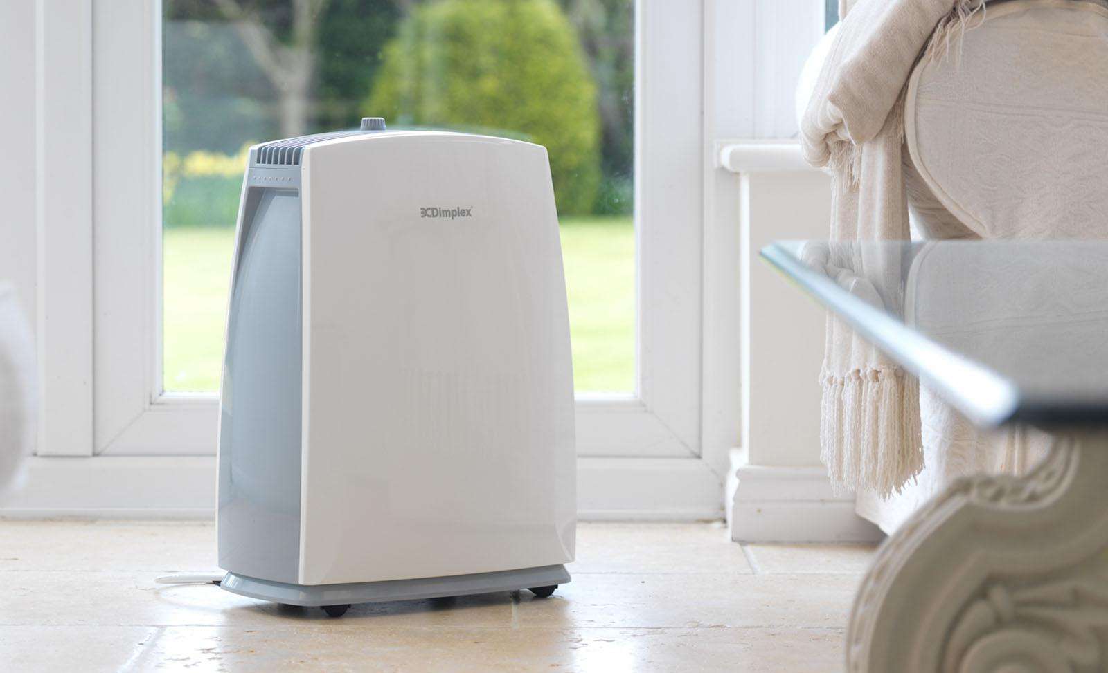 What Does a Dehumidifier Do for Your Home?