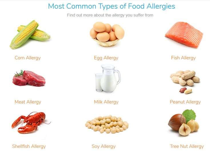What is a Food Allergy?  Types, Causes, Symptoms ...