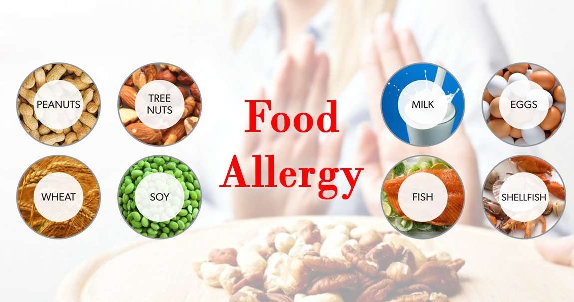 What is Food Allergy