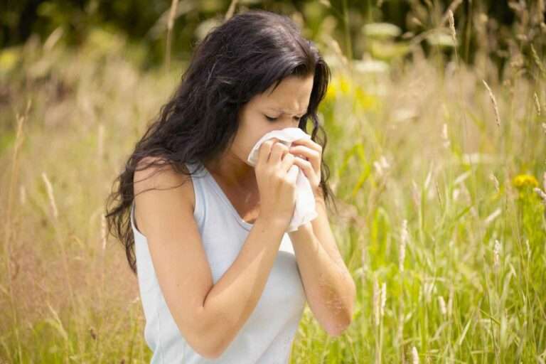 What is hay fever, can babies and pets get it, can you ...