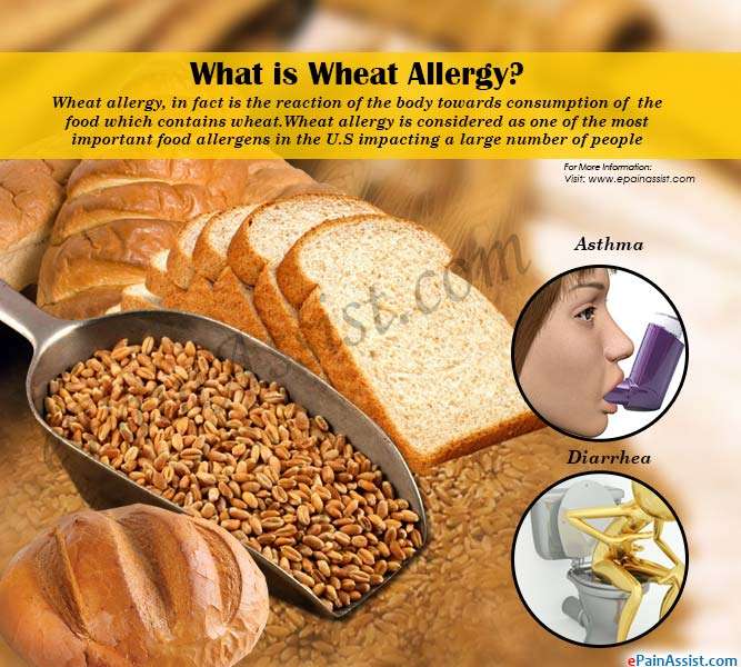 What is Wheat Allergy, Know its Treatment, Home Remedies ...