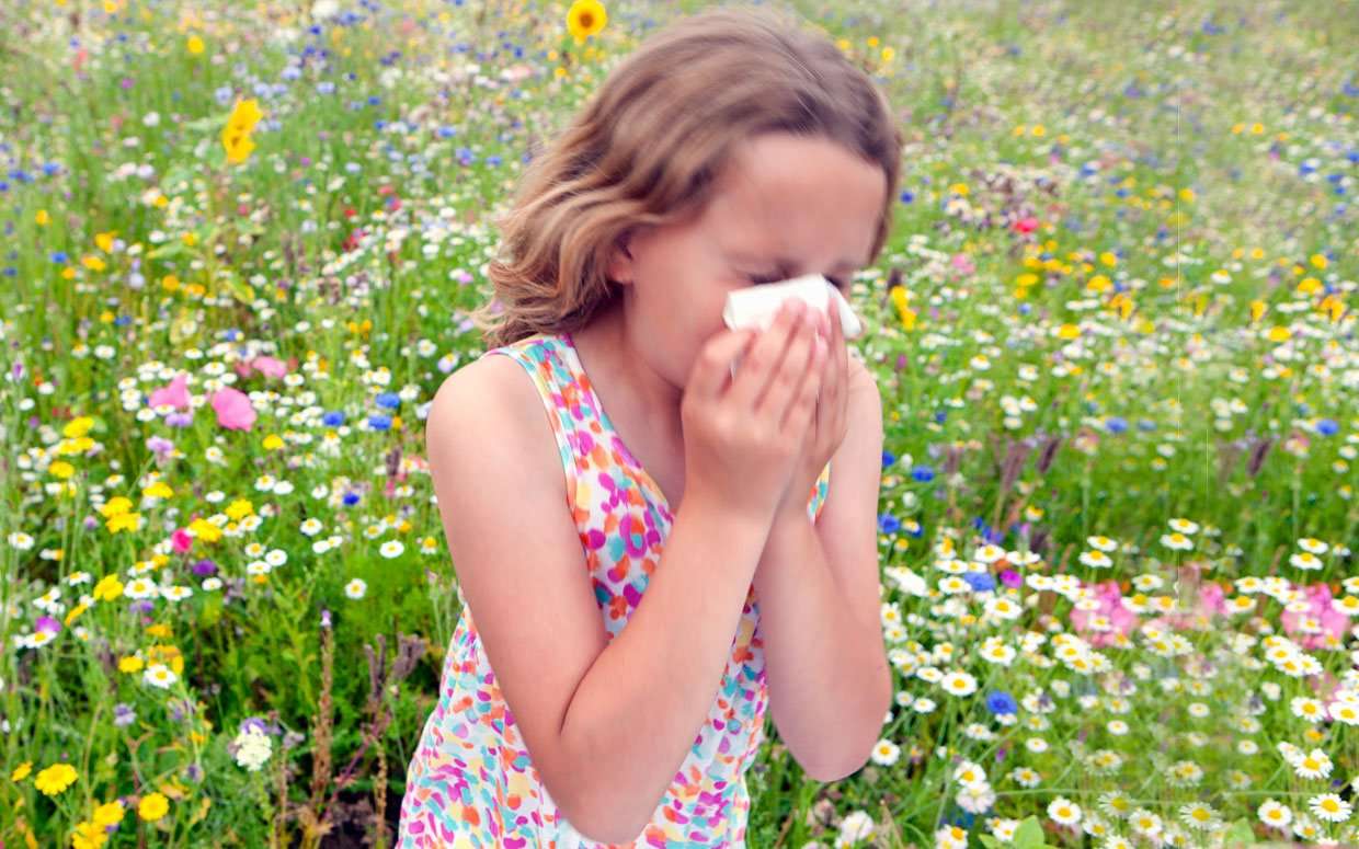 What to Do When Allergies Attack?  GetHow
