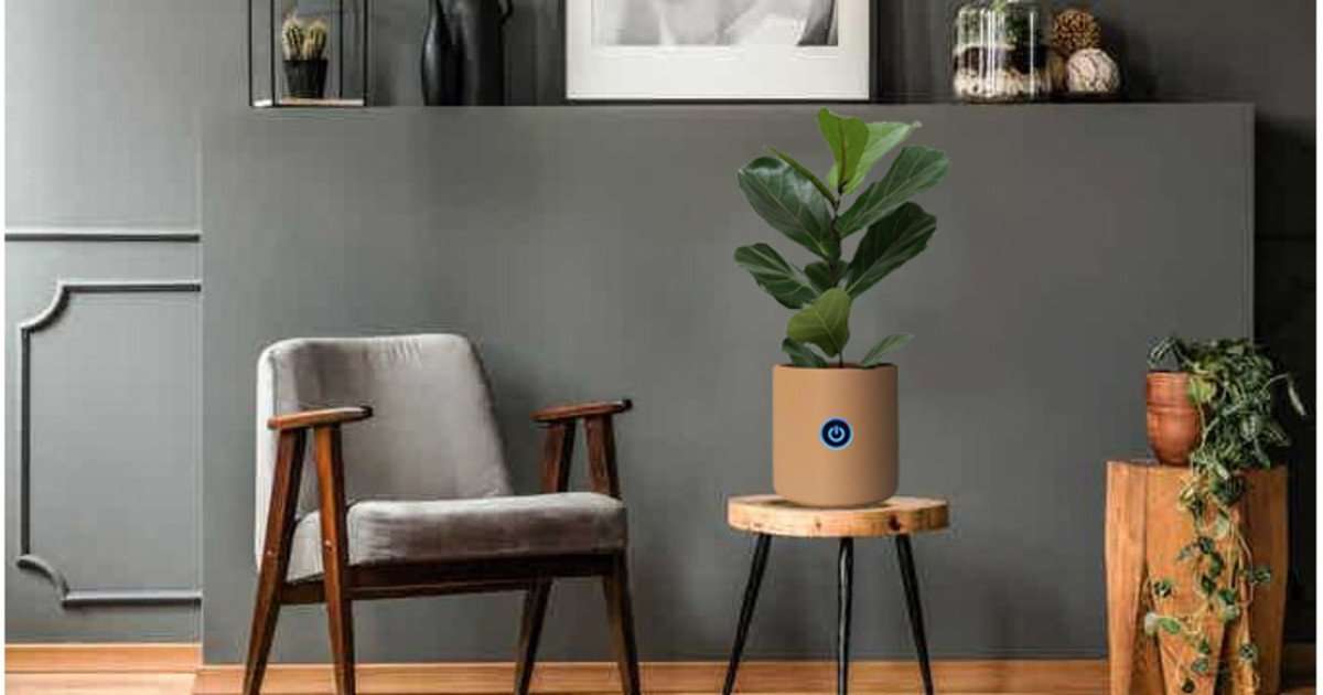 Whats the best air purifier out there?