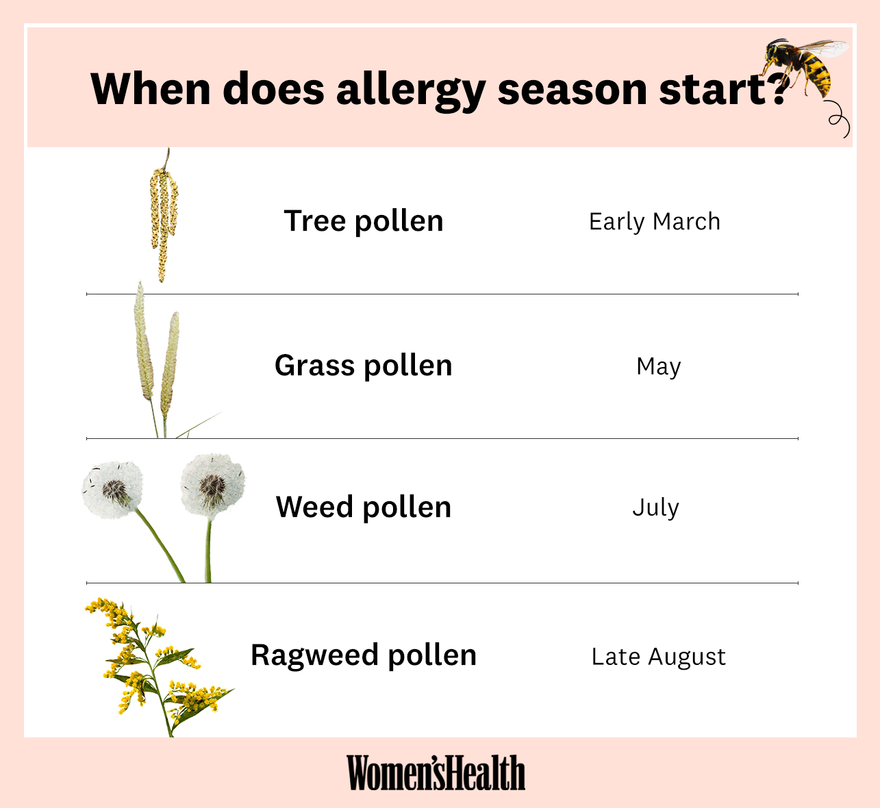 When Does Allergy Season 2021 Start\u2014And When Should I Start Taking ...