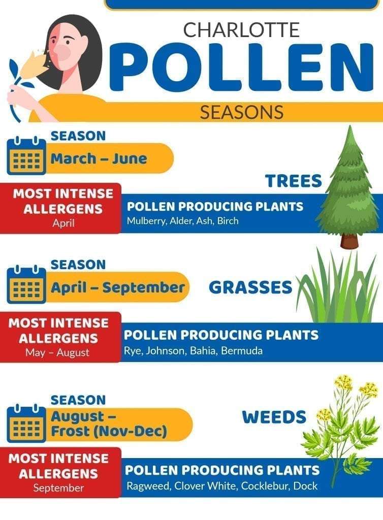 When Does Pollen Season End in Charlotte, NC?