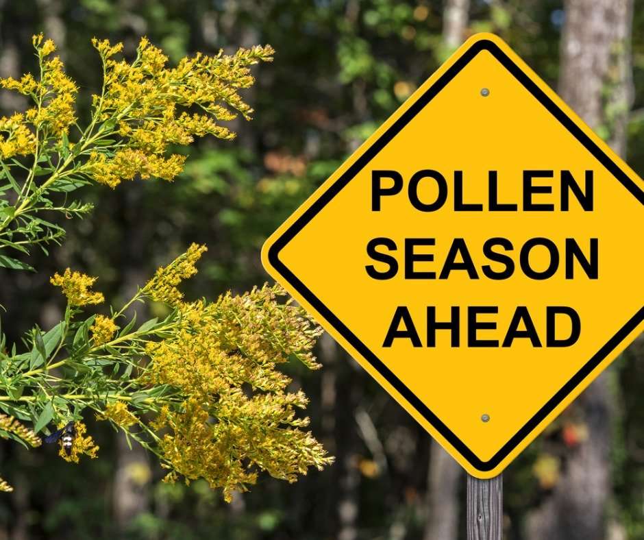 When Springtime Allergies Strike: What to Do When You Can ...