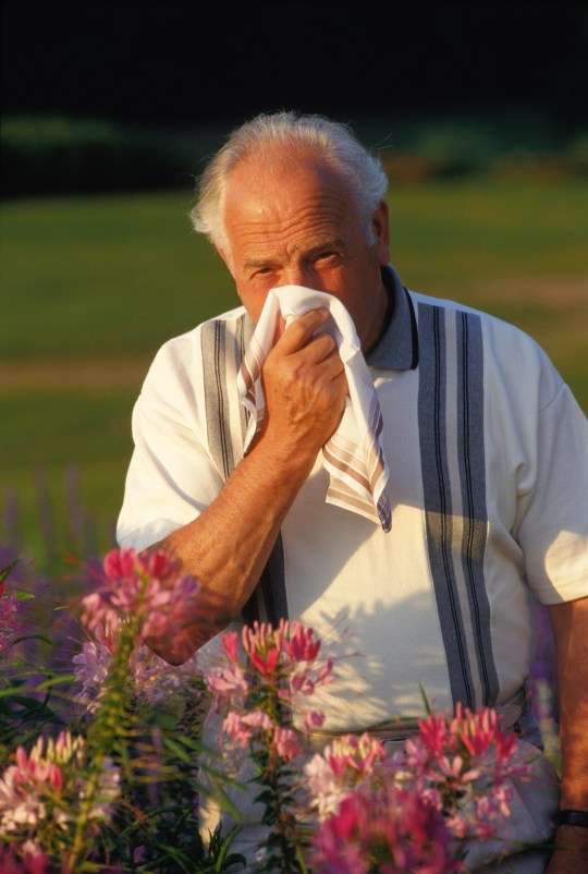 Why are my hay fever symptoms so bad at the moment?