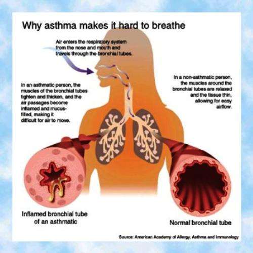 why asthma makes it hard to breath