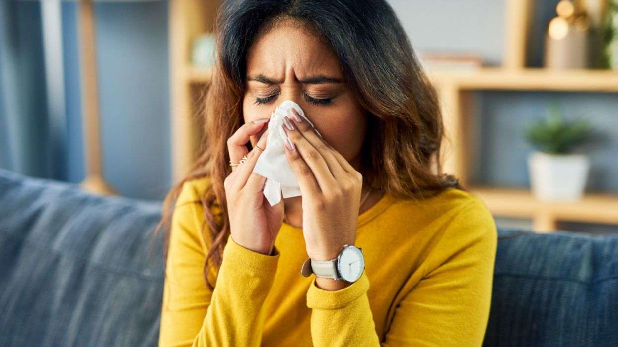 Why Is My Hay Fever Acting Up? Iâm Stuck Indoors