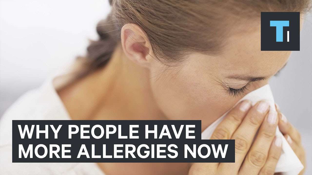 Why people have more allergies now
