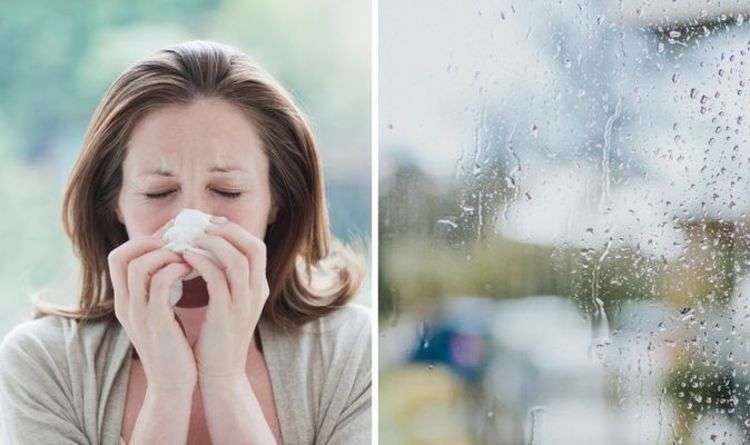 Why Rain Actually Makes Your Allergies Feel Worse ...