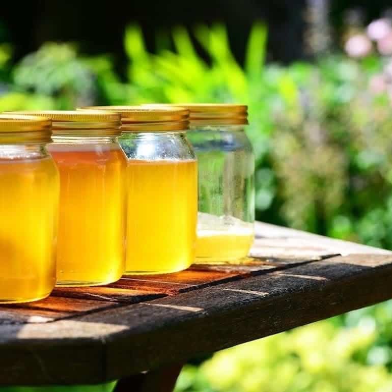 Why vegans should actually be eating honey
