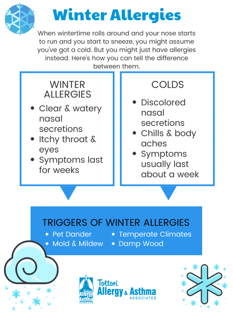 Winter Allergies vs. Colds