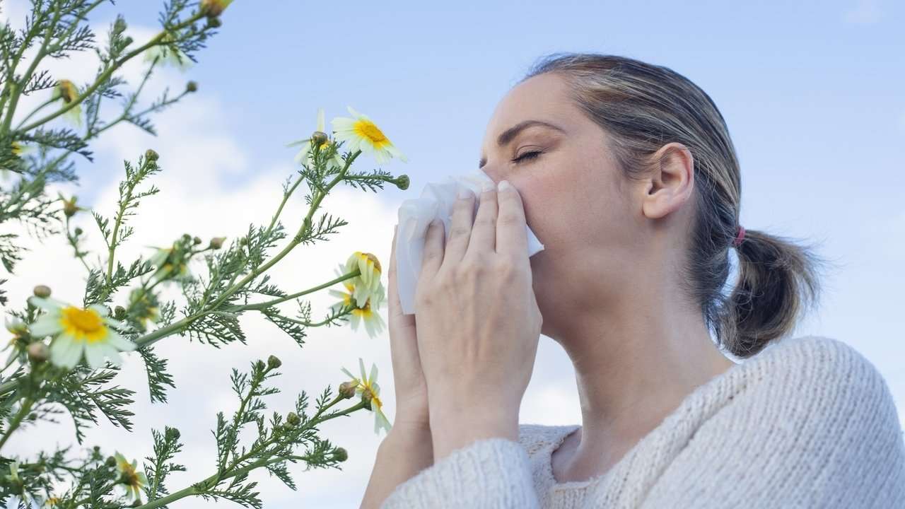 Yard Work vs. Allergies: Tips to Beat Hay Fever